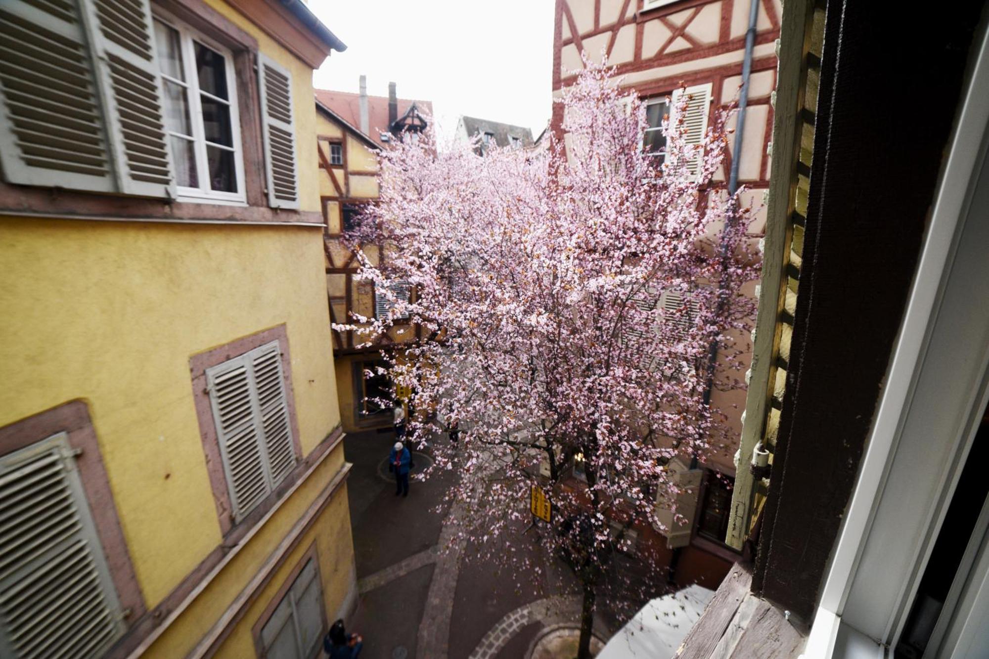 Gite Bim Maidala Colmar Exteriör bild